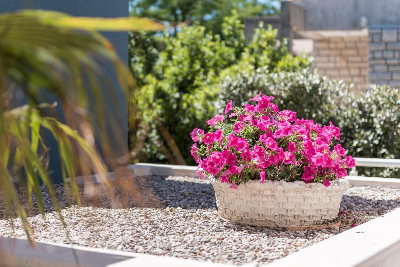 דירות נובליה Pool Terrace Sea View Sarkic מראה חיצוני תמונה